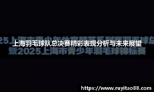 上海羽毛球队总决赛精彩表现分析与未来展望